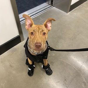 Meet your Posher, Lorissa